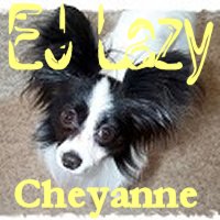 Picture for song 'Cheyanne (Peaceful Sleep)' by artist 'EJ Lazy'
