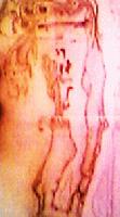 Picture for song 'when the curious girl relizes she's under glass' by artist 'ekoproject'