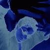 Picture for song 'Immortal Souls' by artist 'Elam'