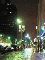 Picture for song 'Bloom' by artist 'Elder Green'