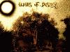 Picture for song 'Bloodmourn' by artist 'Elders of Despair'