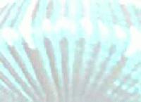 Picture for song 'retrolonga' by artist 'electrocutango'