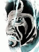 Picture for song 'speed kills' by artist 'Electroearwig'