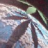 Picture for song '{DRAGONEYES} not Finished!!' by artist 'Electro Magnetic'