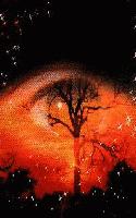Picture for song 'sHAPe Shifters' by artist 'Electro Magnetic'