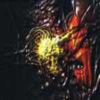 Picture for song 'Purr puddy paw' by artist 'electropeeler'