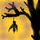 Picture for song 'Second Rate Hero Live' by artist 'Elegy'