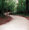 Picture for song 'the path not taken' by artist 'elementlad'