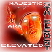 Picture for song 'Majestic [featuring Rossi 'n' Low Profile]' by artist 'eLeVATeD'