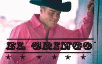 Picture for song 'HEY BABY QUE PASO' by artist 'EL GRINGO (mexico)'