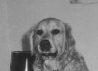 Picture for song 'Kitchen yoga' by artist 'Ellende'