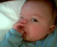 Picture for song 'Jackin' Heads' by artist 'E-LOCSTA'