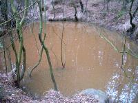 Picture for song 'Bones Sampler' by artist 'Elusive Mr Hatchard'