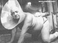 Picture for song 'Hatred' by artist 'Elusive Mr Hatchard'