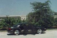 Picture for song 'On Dope' by artist 'Eluzive'