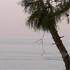Picture for song 'Bruma sobre el lago' by artist 'El Viaje de Bran II'