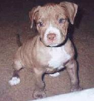 Picture for song 'conceal of fate' by artist 'emcee gq'