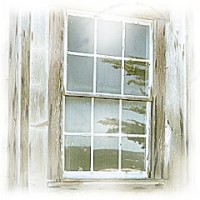 Picture for song 'The Secret Place' by artist 'emerald vein'