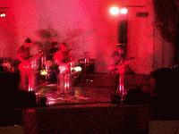 Picture for song 'I'm a horse (live)' by artist 'Em Ex'