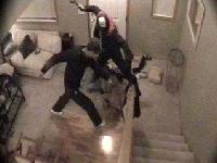 Picture for song 'fancy walkin' solitary jingle' by artist 'ENC experimentalnoisecore'