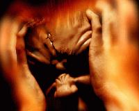 Picture for song 'Hate Face' by artist 'End Of The Rope'