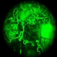 Picture for song 'It's Only Life' by artist 'ENERCHY'