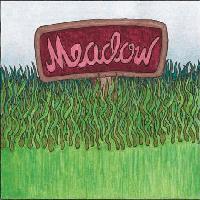 Picture for song 'My Life (Meadow version)' by artist 'ENERCHY'