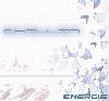 Picture for song 'CHILLIN' by artist 'ENERGIE'