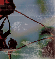 Picture for song 'somewhat. (live)' by artist 'engaged'