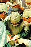 Picture for song 'Organ Transplant' by artist 'EngLebuRt'