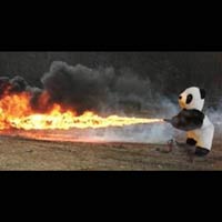 Picture for song 'Désert Noir' by artist 'English Major'