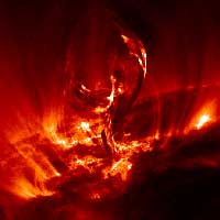 Picture for song 'Nosferöcktu' by artist 'English Major'