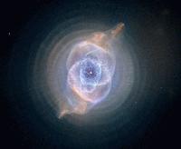 Picture for song 'Worm Sign' by artist 'English Major'