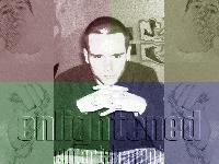 Picture for song 'FAcADE' by artist 'Enlightened Entertainment'