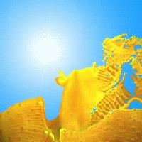 Picture for song 'BeachParty2003' by artist 'Enois'