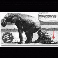 Picture for song 'Deep Shit' by artist 'Enois'