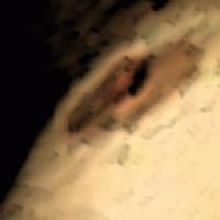 Picture for song 'HellisinWonderland' by artist 'Enois'