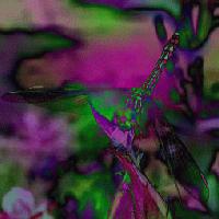 Picture for song 'My House' by artist 'Enois'