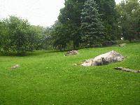 Picture for song 'iNTHe PaRK' by artist 'eNoTiDe'