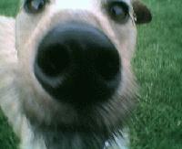 Picture for song 'moan for joan' by artist 'enp'