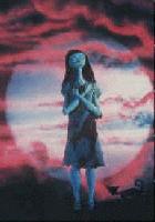 Picture for song 'My Firefly' by artist 'EntRIKit'