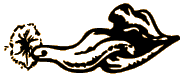Picture for song 'Commodore Rimjob' by artist 'Enturbulator 009'