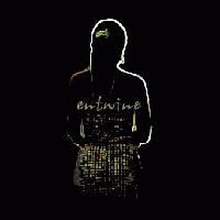 Picture for song 'Madness' by artist 'entwine'