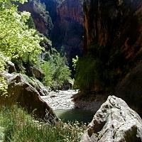 Picture for song 'Water Oud' by artist 'Envoy Culturis'