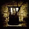 Picture for song 'Discovery (edit)' by artist 'Ephemeral Sun'