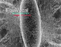 Picture for song 'The Fear (Flow Phobia Skit 1)' by artist 'Equivocal'