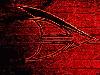 Picture for song 'Breaking The Truth' by artist 'Erazed'