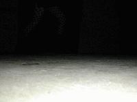 Picture for song 'Halsong (reprise)' by artist 'eRgo'