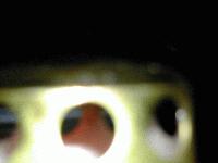 Picture for song 'Warsong' by artist 'eRgo'