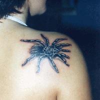 Picture for song 'Itsy Bitsy Spider' by artist 'Eric Goes Solo'